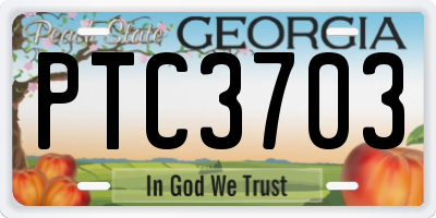 GA license plate PTC3703