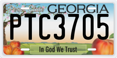 GA license plate PTC3705