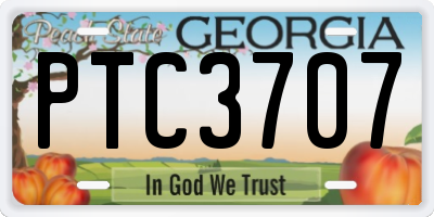 GA license plate PTC3707