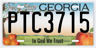 GA license plate PTC3715