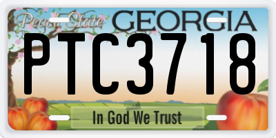 GA license plate PTC3718
