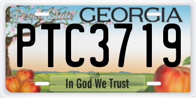 GA license plate PTC3719