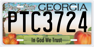 GA license plate PTC3724