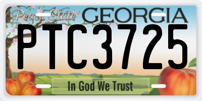 GA license plate PTC3725