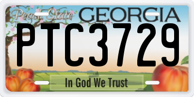GA license plate PTC3729