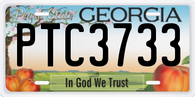 GA license plate PTC3733