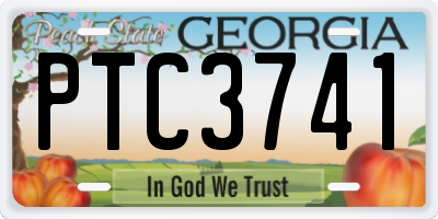 GA license plate PTC3741