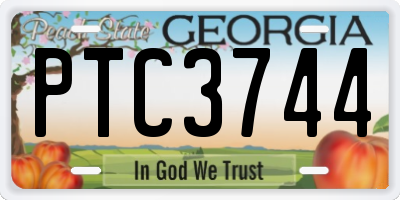 GA license plate PTC3744