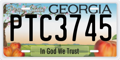 GA license plate PTC3745