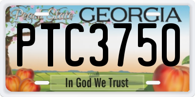 GA license plate PTC3750