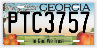 GA license plate PTC3757