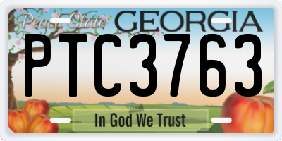 GA license plate PTC3763