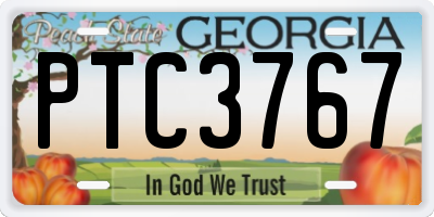 GA license plate PTC3767