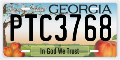 GA license plate PTC3768