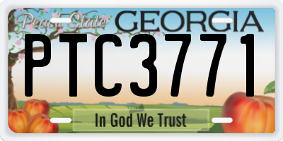 GA license plate PTC3771