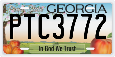 GA license plate PTC3772