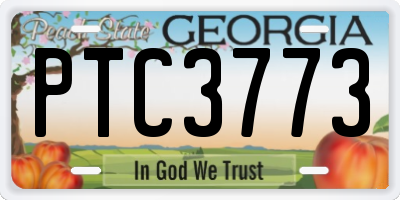 GA license plate PTC3773