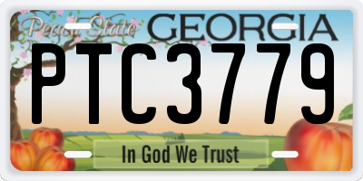 GA license plate PTC3779