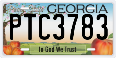GA license plate PTC3783
