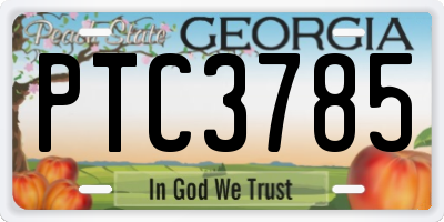 GA license plate PTC3785