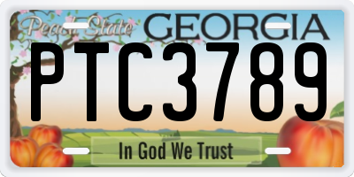 GA license plate PTC3789
