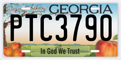 GA license plate PTC3790