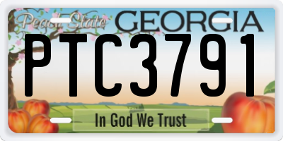 GA license plate PTC3791