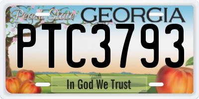 GA license plate PTC3793