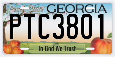 GA license plate PTC3801