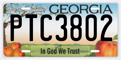 GA license plate PTC3802