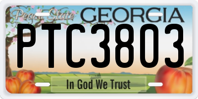 GA license plate PTC3803