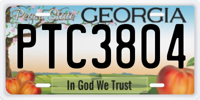 GA license plate PTC3804