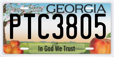 GA license plate PTC3805