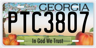 GA license plate PTC3807