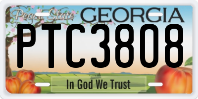 GA license plate PTC3808