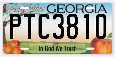 GA license plate PTC3810