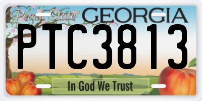 GA license plate PTC3813