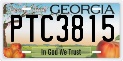 GA license plate PTC3815