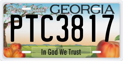 GA license plate PTC3817