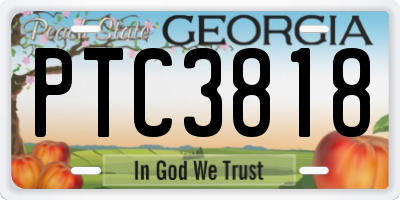 GA license plate PTC3818