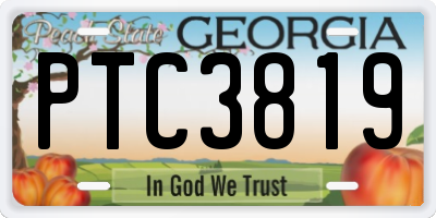 GA license plate PTC3819