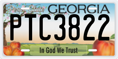 GA license plate PTC3822