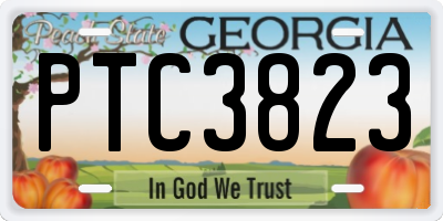 GA license plate PTC3823