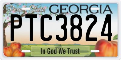 GA license plate PTC3824