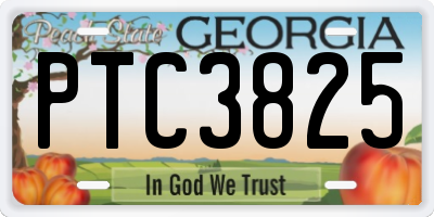 GA license plate PTC3825