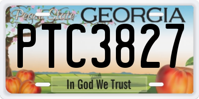 GA license plate PTC3827