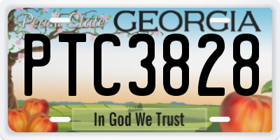 GA license plate PTC3828