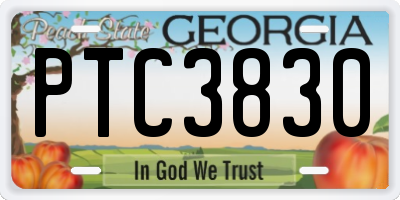 GA license plate PTC3830