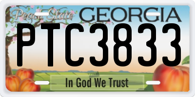 GA license plate PTC3833