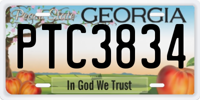 GA license plate PTC3834
